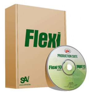 flexi3
